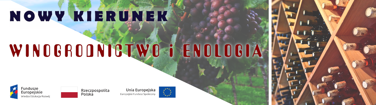 Winogrodnictwo i enologia