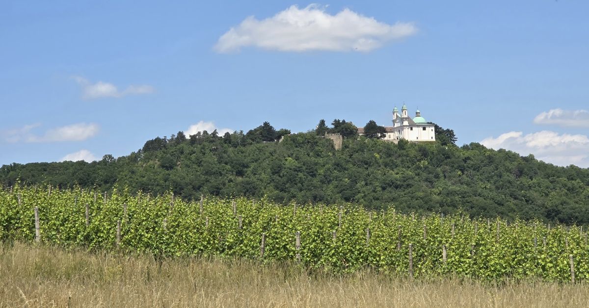 Winnice Wiednia