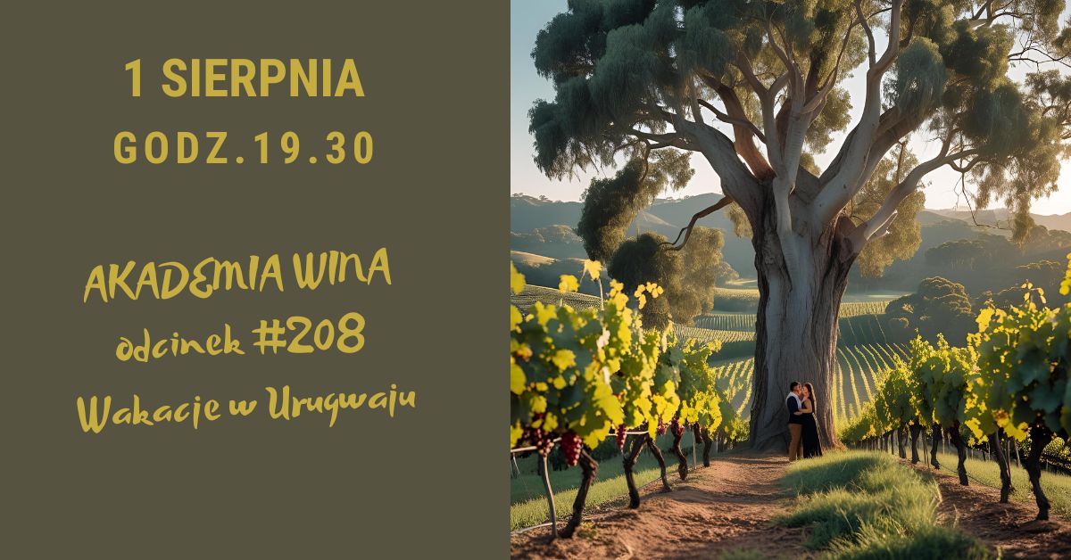 Akademia Wina. Wakacje w Urugwaju