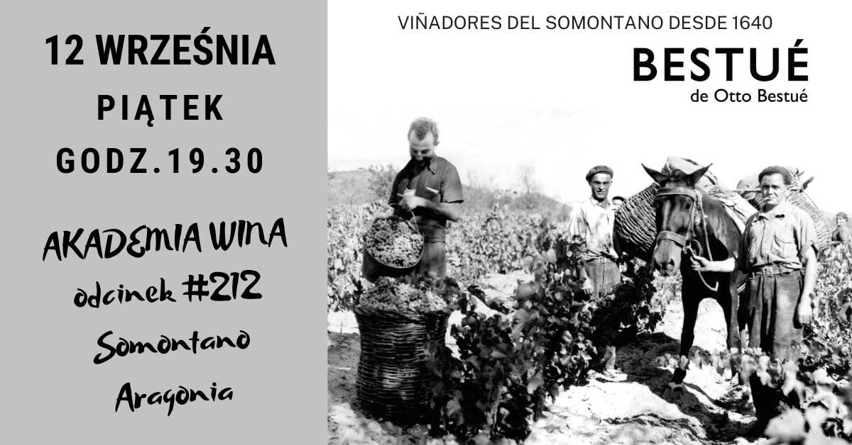 Akademia Wina. Somontano