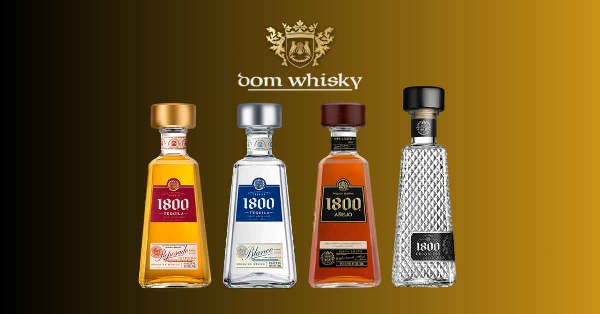 Degustacja tequili